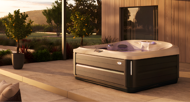 <h3>Spa reiniging</h3>