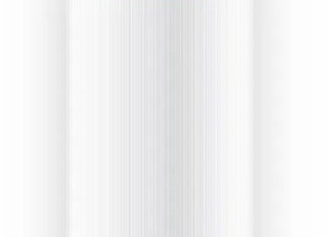 W'eau spa filter type 1 (o.a. SC701 of 5CH-402)